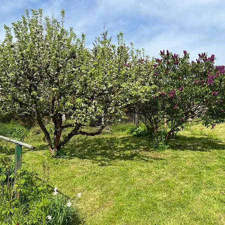 Am Schusterberg Appartamento