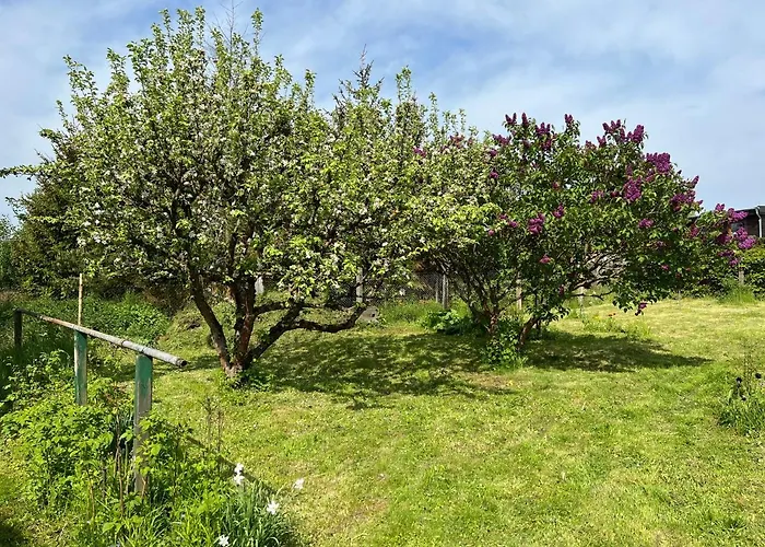 Am Schusterberg Appartamento